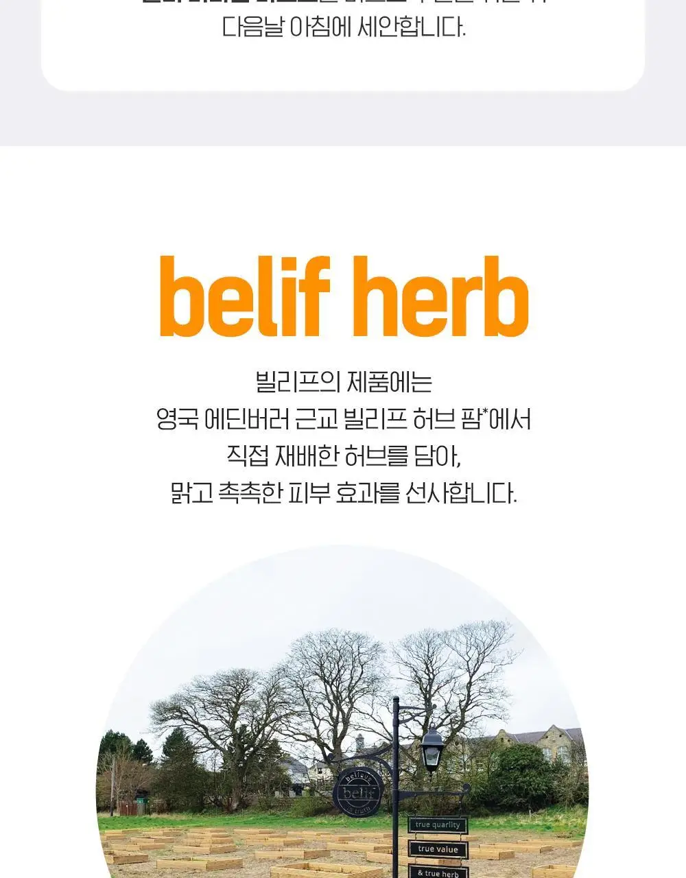 [투명모공] NEW 빌리프 슈퍼 드랍스 비타 딥 클렌징 오일 150ml 1+1 기획 상세페이지 38